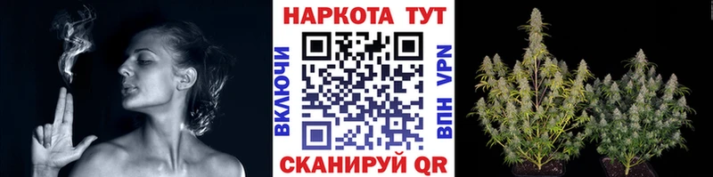 Наркотические вещества Снежинск Гашиш Галлюциногенные грибы MDMA Мефедрон