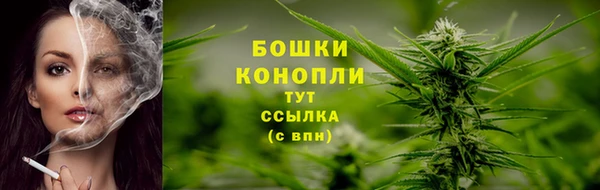 гидра Володарск