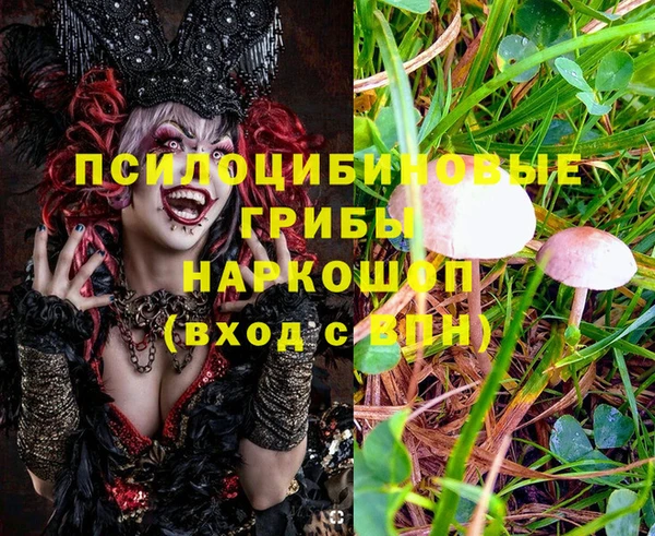 гидра Володарск